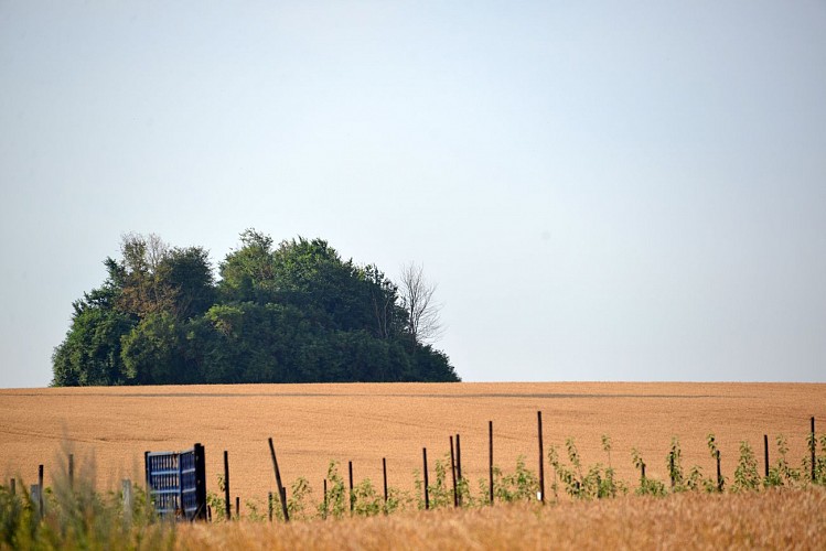 balade du tumulus